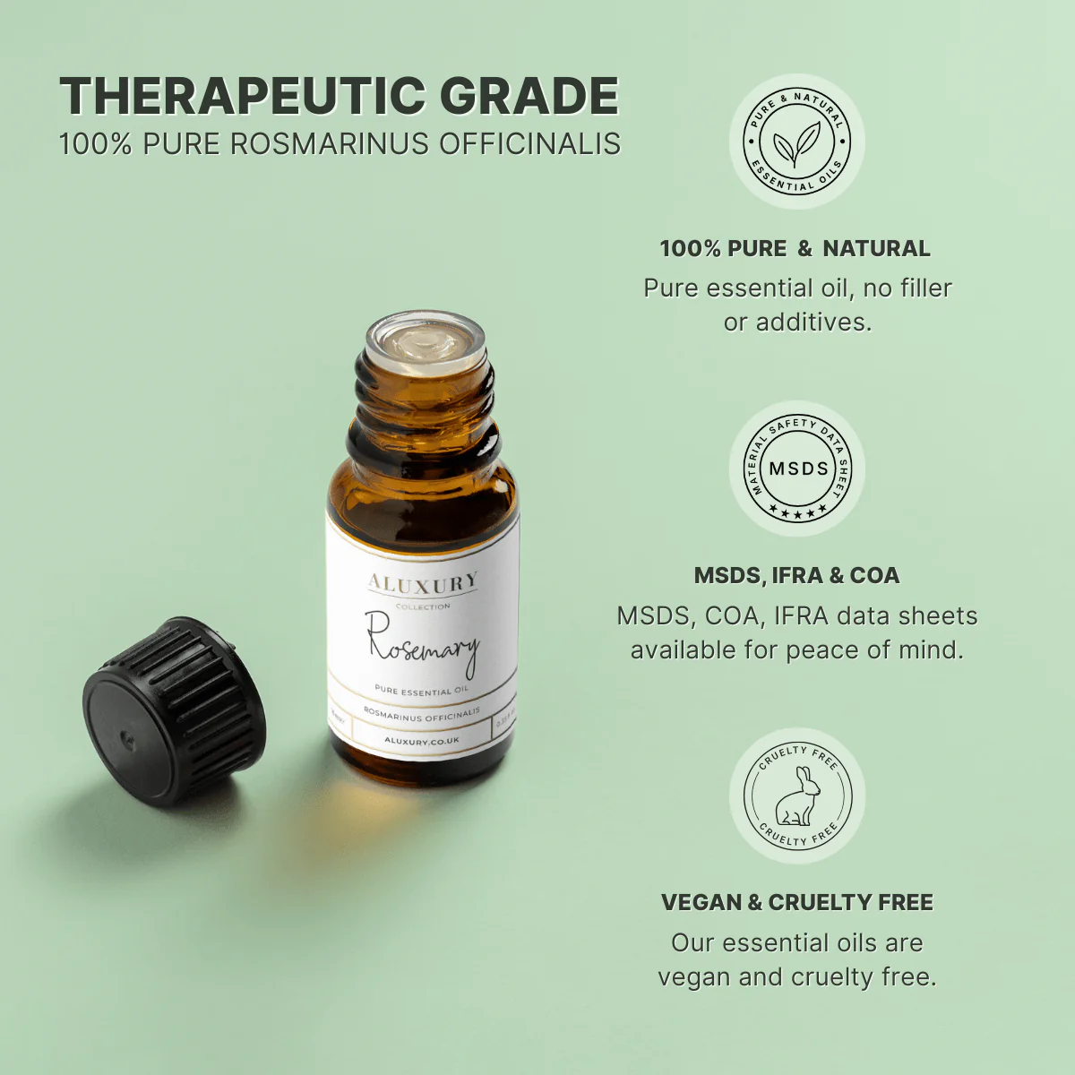 Rosemary Essential Oil - Image 4